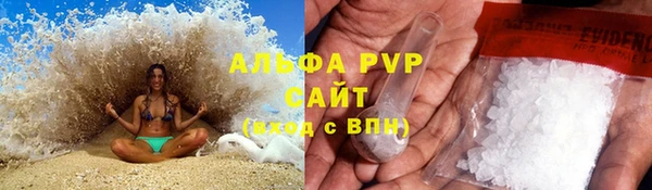 трава Белокуриха