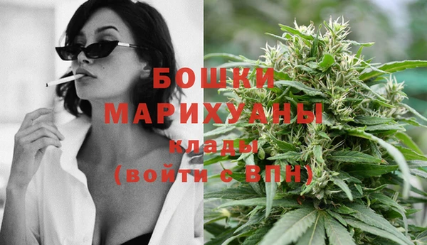 трава Белокуриха