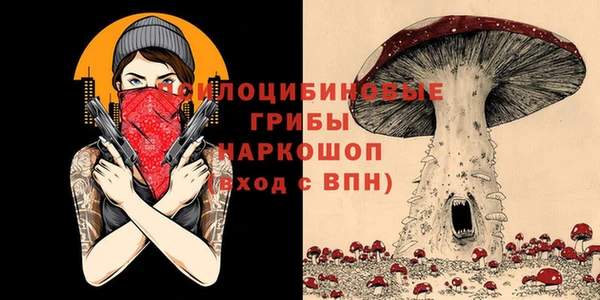 трава Белокуриха